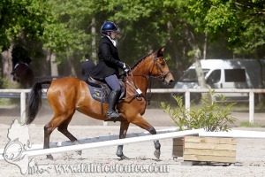 CFCC 2017 00881