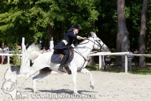 CFCC 2017 00892