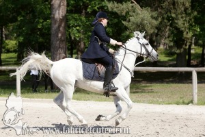 CFCC 2017 00894