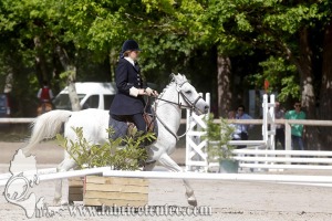 CFCC 2017 00900