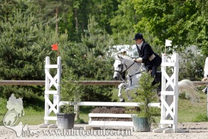 CFCC 2017 00901