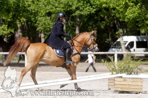 CFCC 2017 00933