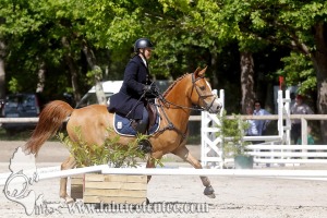 CFCC 2017 00934