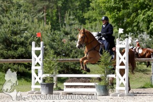 CFCC 2017 00935
