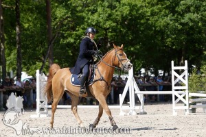 CFCC 2017 00937