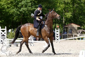 CFCC 2017 00949