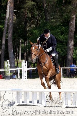 CFCC 2017 00951