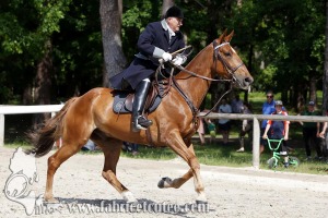 CFCC 2017 00956