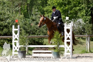 CFCC 2017 00963
