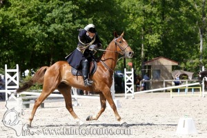 CFCC 2017 00966
