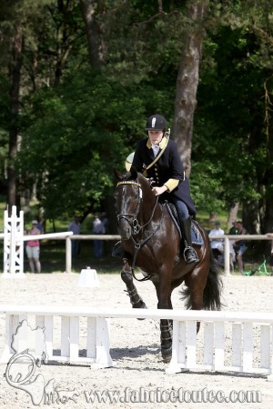 CFCC 2017 00968