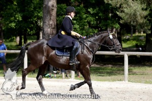 CFCC 2017 00972