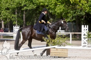 CFCC 2017 00978
