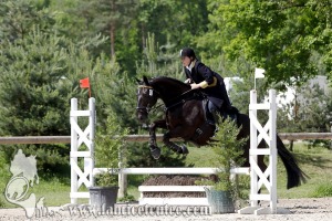 CFCC 2017 00979