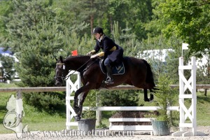 CFCC 2017 00980