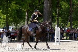 CFCC 2017 00981