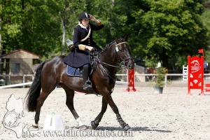 CFCC 2017 00982