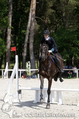 CFCC 2017 00985