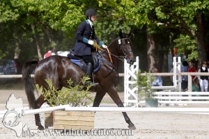 CFCC 2017 00992
