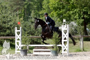 CFCC 2017 00994