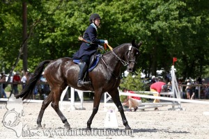 CFCC 2017 00996