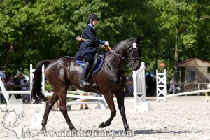 CFCC 2017 00997