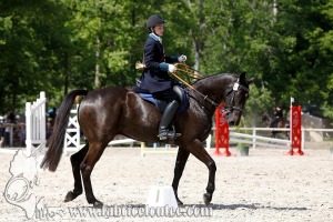 CFCC 2017 00998