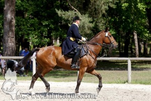 CFCC 2017 01004