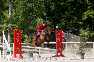 CFCC 2017 01019