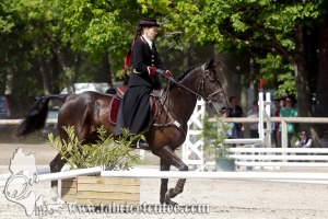 CFCC 2017 01038