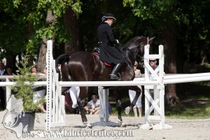 CFCC 2017 01048