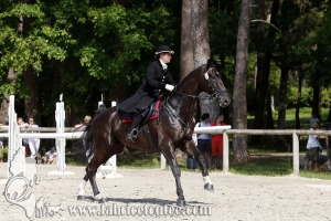 CFCC 2017 01049