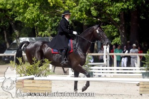 CFCC 2017 01058