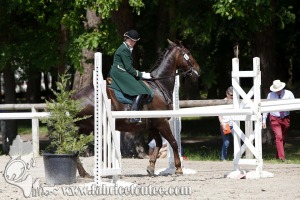 CFCC 2017 01068
