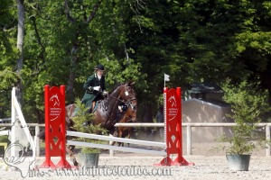 CFCC 2017 01071