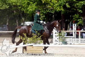 CFCC 2017 01077