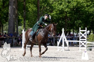 CFCC 2017 01080