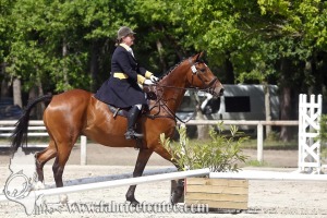 CFCC 2017 01094