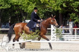 CFCC 2017 01106