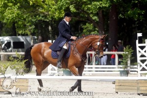 CFCC 2017 01107