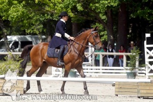 CFCC 2017 01120