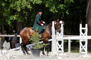 CFCC 2017 01129
