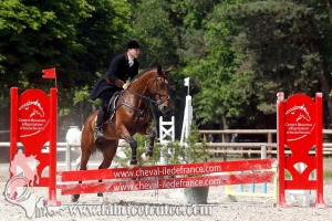 CFCC 2017 01145