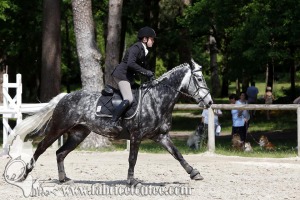 CFCC 2017 01156