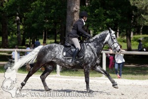 CFCC 2017 01157