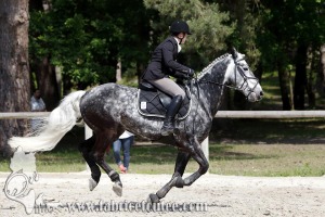 CFCC 2017 01158