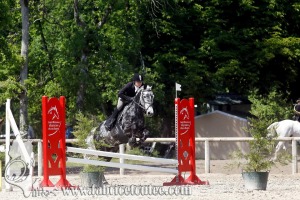 CFCC 2017 01159