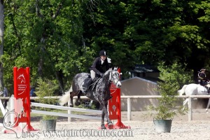 CFCC 2017 01160