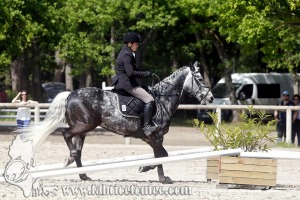CFCC 2017 01163