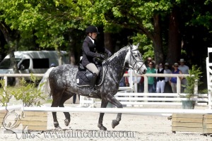 CFCC 2017 01164